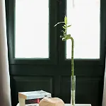 Kimata Διαμέρισμα